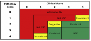 図３　NSFの診断基準：Clinical scoreとPathology score  （文献[3] より引用）